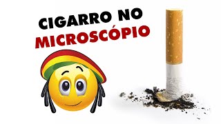 🟠 Cigarro no microscópio 👉 Nos Mínimos Detalhes [upl. by Monson]