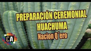 Preparación de Huachuma Ceremonia  Nación Q´ero [upl. by Gianni]