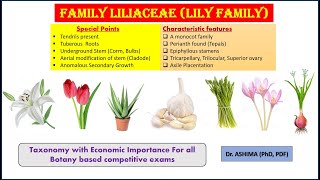 Family Liliaceae a lily family [upl. by Orfurd]