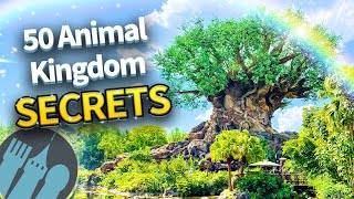 50 Secrets and Tips For Disney World’s Animal Kingdom [upl. by Eannej]