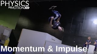 What Are Momentum and Impulse  Physics in Motion [upl. by Ecnedac]