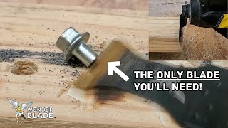 The ONLY Oscillating Tool Blade Youll Ever Need How to Find the Best Oscillating Tool Blades [upl. by Eceinert172]