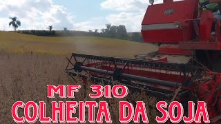 Colheita da Soja MF 310safra 2024 [upl. by Vasyuta427]