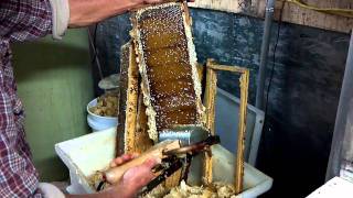 How To Make Honey [upl. by Bouzoun]