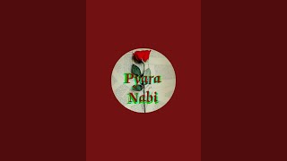 Pyara nabi is live [upl. by Florry376]