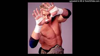 DDP Diamond Dallas Page WCW Theme quotSelf High Fivequot [upl. by Refannej343]