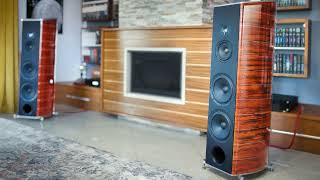 Daves True Story  Like a Rock Sonus Faber style DIY Loudspeakers DIY Streamer [upl. by Aitnas266]