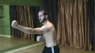 Hard QiGong Fist Set Part 2 White Crane [upl. by Mirelle874]