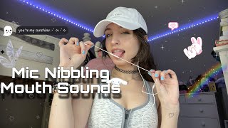 Lofi ASMR  Mic Nibbling FAST amp AGGRESSIVE Mouth Sounds Rambles [upl. by Aynik565]