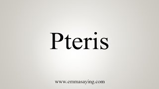 How To Say Pteris [upl. by Notlad159]