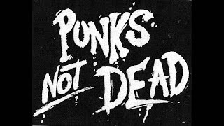 40 Genres Of Punk [upl. by Yssej485]