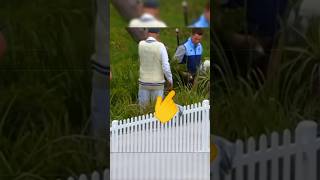 Gully Cricket Moment in Sheffield Shield Match 🤯 shorts [upl. by Rolyt]