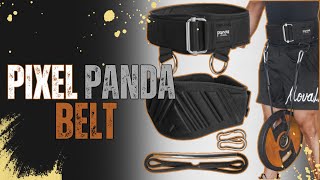 Pixel Panda Weightlifting Belt [upl. by Keese]