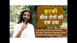 KUTKI  HIMALAYAN HERB FOR LIVER DETOX FATTY LIVER URIC ACID CHOLESTROL amp DIABETES BY YOGINITYA [upl. by Enilram]