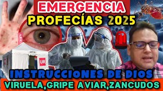 🆘️ EMERGENCIA PROFECÍAS 2025 VIRUELA GRIPE AVIAR ENFERMEDADES DEL MOSQUITO GUERRAS ARREPENTIMIENTO [upl. by Edurtreg534]