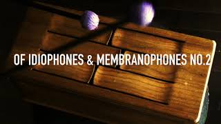 Of Idiophones amp Membranophones No 2 [upl. by Mercie380]