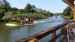 Agva Day Trip from Istanbul and Views of River Tours Turkey [upl. by Hsemin911]