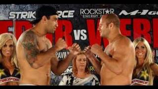 Fedor Emelianenko vs Fabricio Werdum  MMA [upl. by Suedaht122]