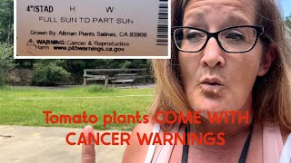 ⛔️Tomato plants COME WITH CANCER amp REPRODUCTIVE WARNINGS ‼️⚠️ [upl. by Nelad371]