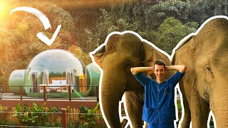 Sleeping with MASSIVE ELEPHANTS in the THAI RAINFOREST  5 Luxury Jungle Bubble [upl. by Spevek132]