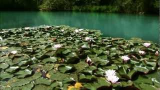 Naturerlebnis Kärnten Naturpark Weissensee [upl. by Muhcan]