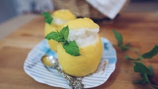 SORBETTO AL LIMONE FATTO IN CASA  Ricetta della gelateria [upl. by Griffin349]