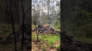 PRESCRIBED PILE BURN [upl. by Chouest]