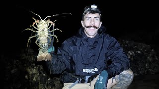 Catching Crayfish from Land  Local Island Boat Camping [upl. by Grof784]