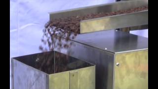 Coffee Bean Filling Machine [upl. by Charpentier]