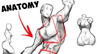 How I Would Learn Anatomy If I Could Start Over [upl. by Lobel3]