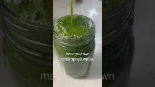 make your own chlorophyll water howto [upl. by Pacheco478]