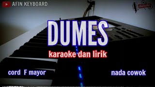 dumes  karaoke dan lirik  nada cowok [upl. by Ardnuahsal442]