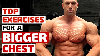 Top Trainers Agree These Are the Best Exercises for Building a Bigger Chest [upl. by Oilut]