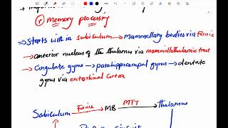 Neuroscience Function of the Limbic System [upl. by Laekcim]