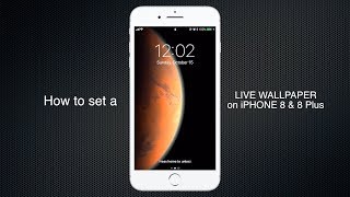 How to set Live wallpaper on iPhone 8 8 plus 7 7 plus 6S amp 6S plus [upl. by Kahcztiy13]