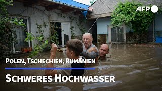 Schwere Überschwemmungen in Polen und Tschechien  AFP [upl. by Mohammed]