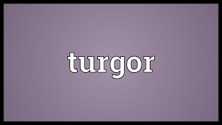 Turgor Meaning [upl. by Haig]