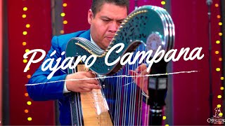 Pájaro Campana  Caballeros desde el estudio  Mariachi Caballeros de México [upl. by Sokcin]