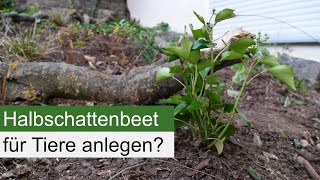 Naturnahes Beet im Halbschatten für die Insekten [upl. by Enninaej188]