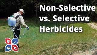 Do My Own Lawn Care  NonSelective v Selective Herbicides  Ep34 [upl. by Holey]