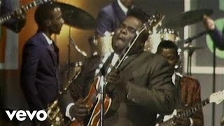 Freddie King  Have You Ever Loved A Woman Live [upl. by Cordie]