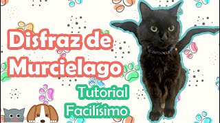 Disfraz de Murciélago para Gato y Perro 😸🐶🦇 DIY Súper Fácil [upl. by Idoj755]