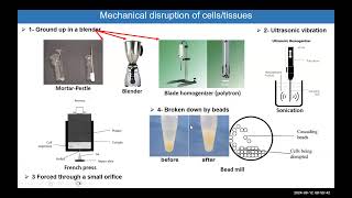 Module 3 Cellular Fractionation HSS3109 [upl. by Jenesia651]