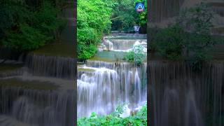 Relaxing Waterfall Sounds For Sleep Study and Meditation [upl. by Angadreme]