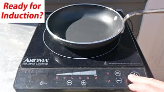 Why I Wont Buy An Induction Range Should You [upl. by Enyallij]