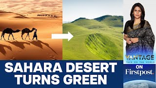 Sahara Turns Green Should we Celebrate or Worry  Vantage with Palki Sharma [upl. by Grannia]