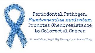 Periodontal Pathogen Fusobacterium nucleatum Promotes Chemoresistance to Colorectal Cancer [upl. by Repsihw60]