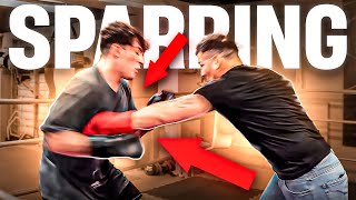 VIRUZZ vs MARAVILLA  Sparring con byviruzz [upl. by Jerrine]