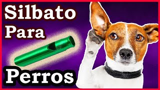 Silbato para perros  Sonido ultrasónico para perros [upl. by Al]