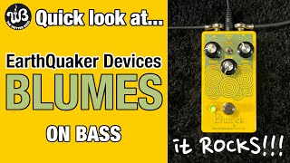 Plumes  Bass  Blumes EarthQuaker Devices made an overdrive pedal specifically for us [upl. by Edea]